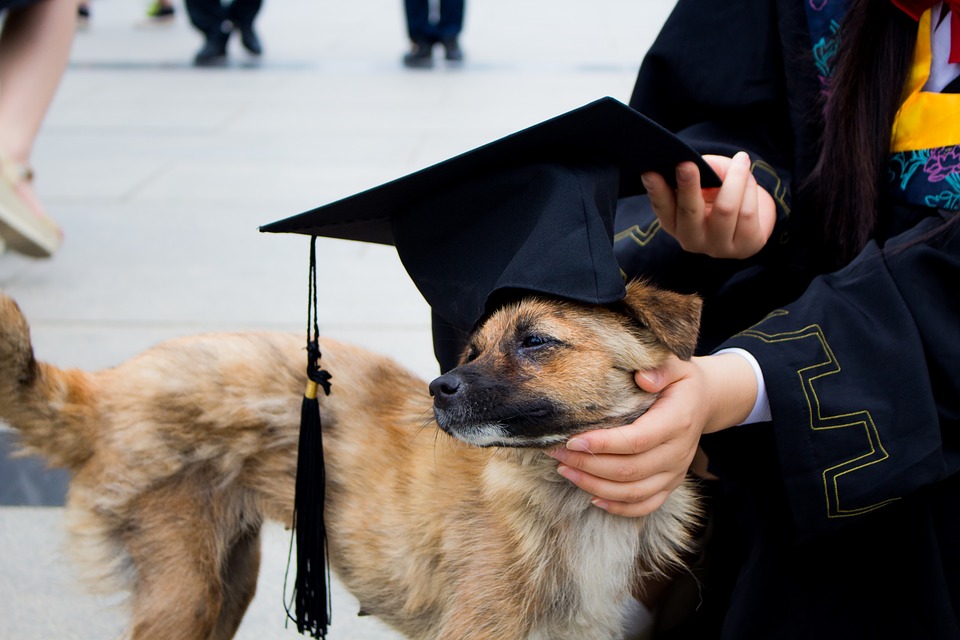 how-to-your-slay-graduation-thank-you-speech-blog